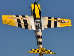 Flugtag 2022